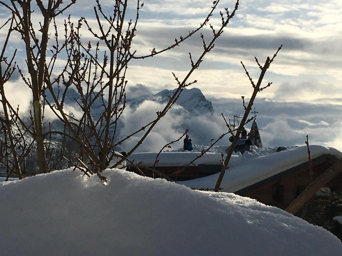 Appartamento Carducci Pieve di Cadore Exterior foto